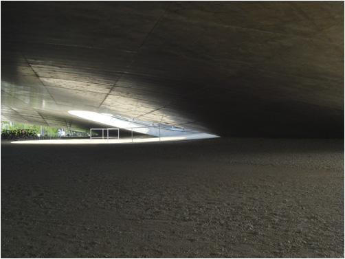 Rolex Learning Center, Lichtung